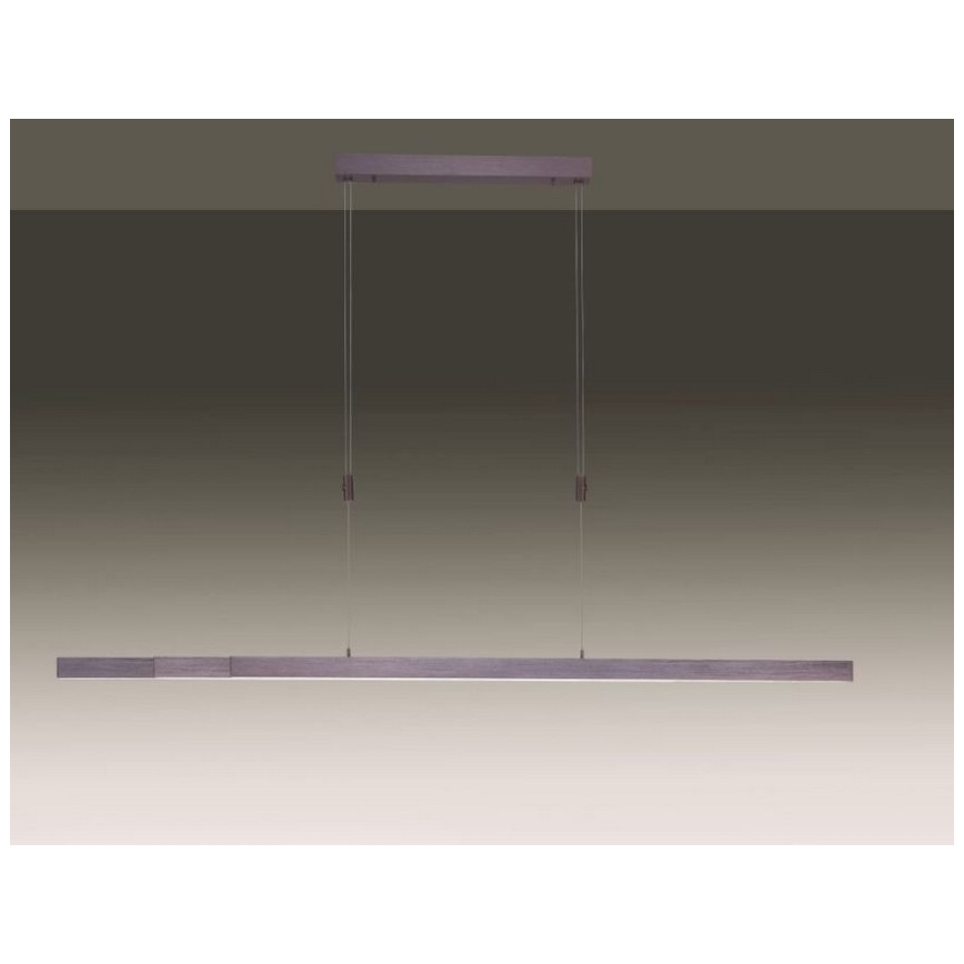 Paul Neuhaus 2568-24 - Suspension filaire à intensité variable ADRIANA LED/14W/230V 2700-5000K