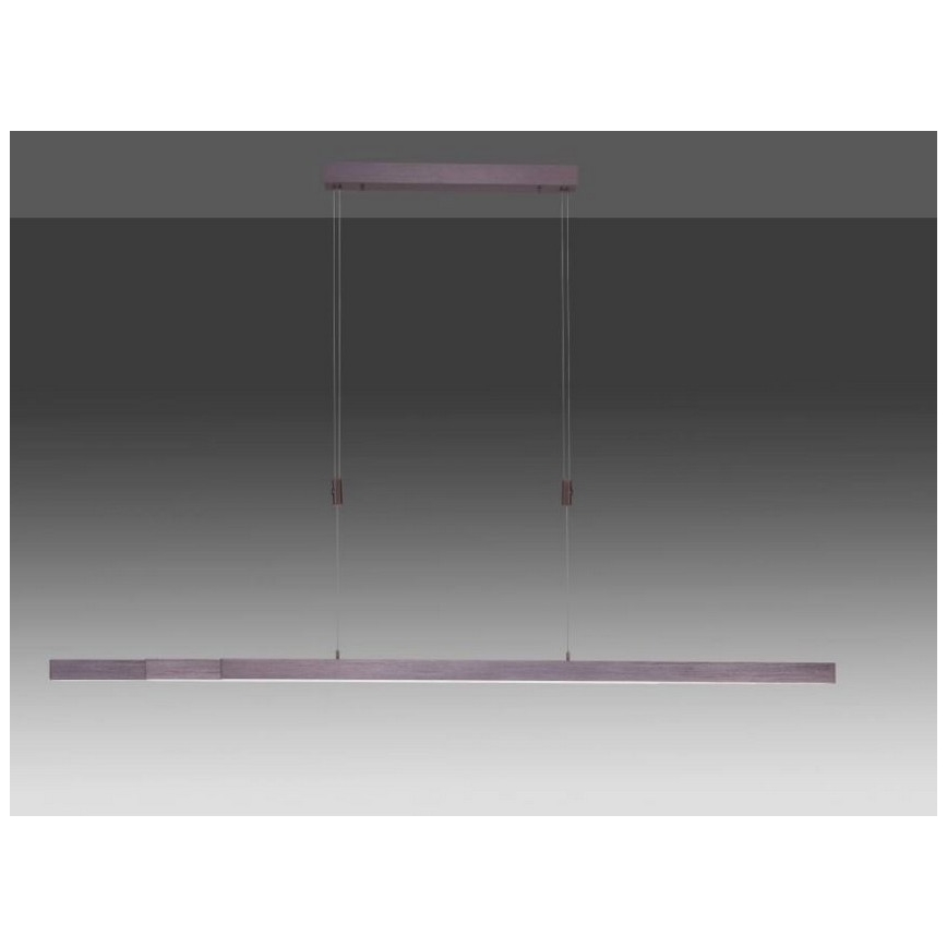 Paul Neuhaus 2568-24 - Suspension filaire à intensité variable ADRIANA LED/14W/230V 2700-5000K