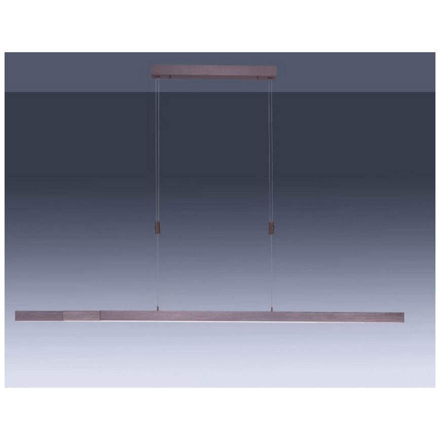 Paul Neuhaus 2568-24 - Suspension filaire à intensité variable ADRIANA LED/14W/230V 2700-5000K
