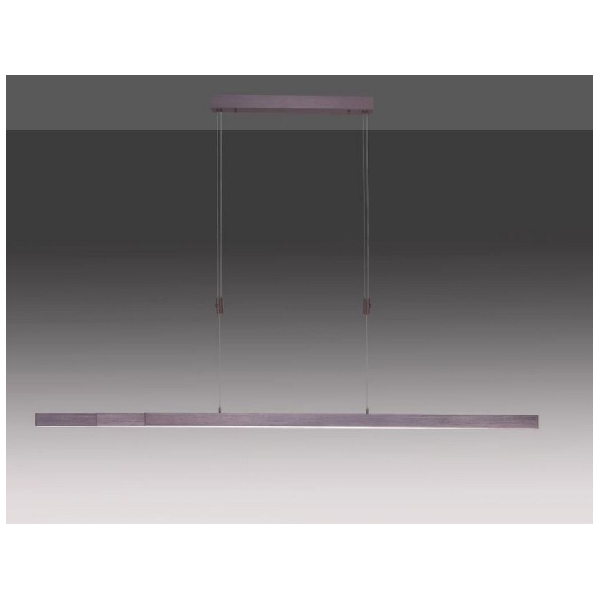 Paul Neuhaus 2568-24 - Suspension filaire à intensité variable ADRIANA LED/14W/230V 2700-5000K