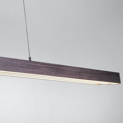 Paul Neuhaus 2568-24 - Suspension filaire à intensité variable ADRIANA LED/14W/230V 2700-5000K