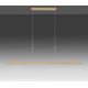 Paul Neuhaus 2568-60 - Suspension filaire à intensité variable ADRIANA LED/14W/230V  2700-5000K laiton
