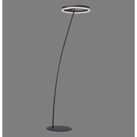 Hymne Altijd condensor Paul Neuhaus 381-13 - Dimbare Staande LED Lamp TITUS LED/19,5W/230V |  Lumimania