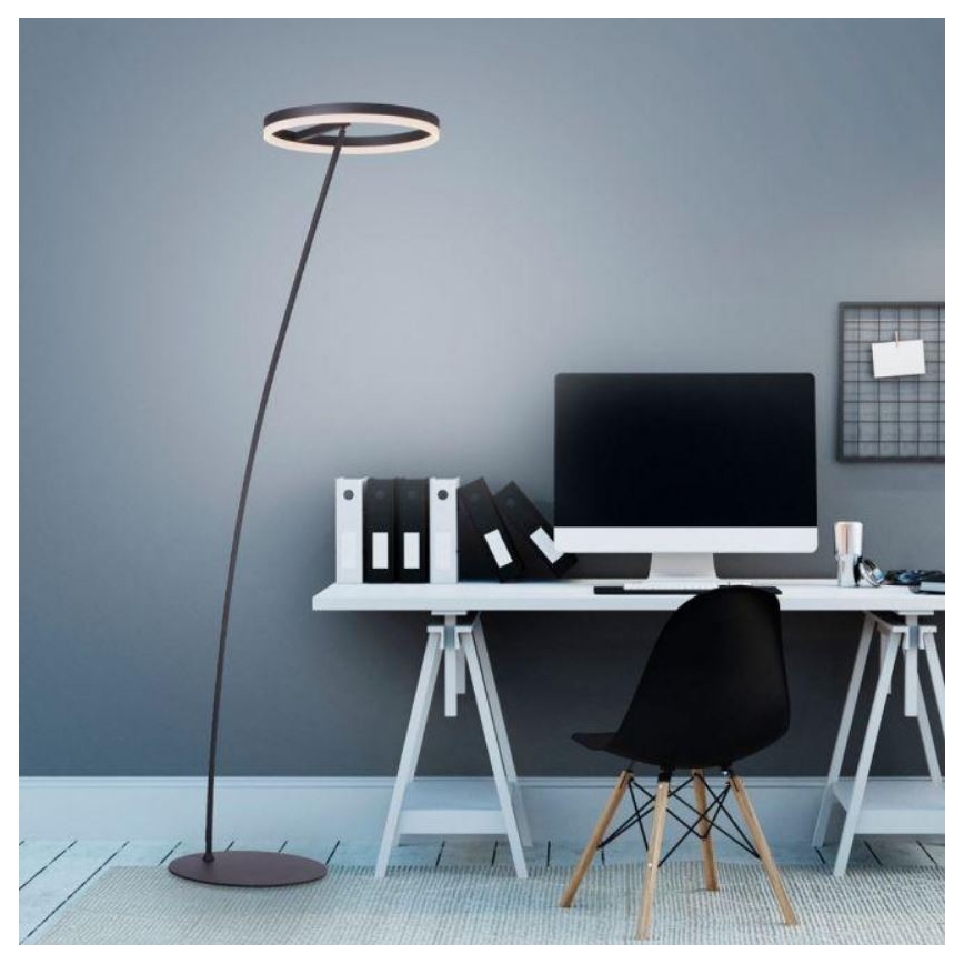 Paul Neuhaus 381-13 - Lampadaire à intensité variable TITUS LED/19,5W/230V