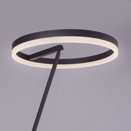 Paul Neuhaus 381-13 - Lampadaire à intensité variable TITUS LED/19,5W/230V