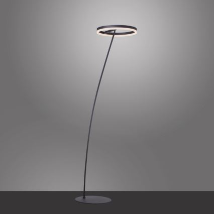 Paul Neuhaus 381-13 - Lampadaire à intensité variable TITUS LED/19,5W/230V