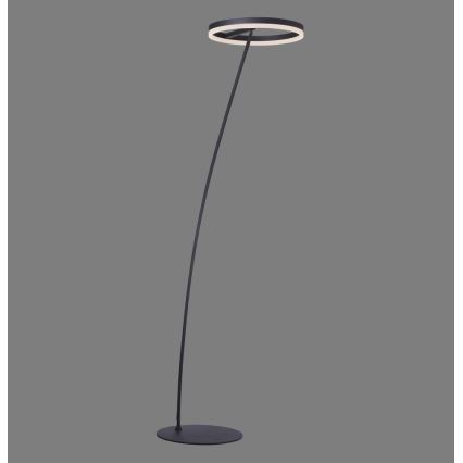 Paul Neuhaus 381-13 - Lampadaire à intensité variable TITUS LED/19,5W/230V