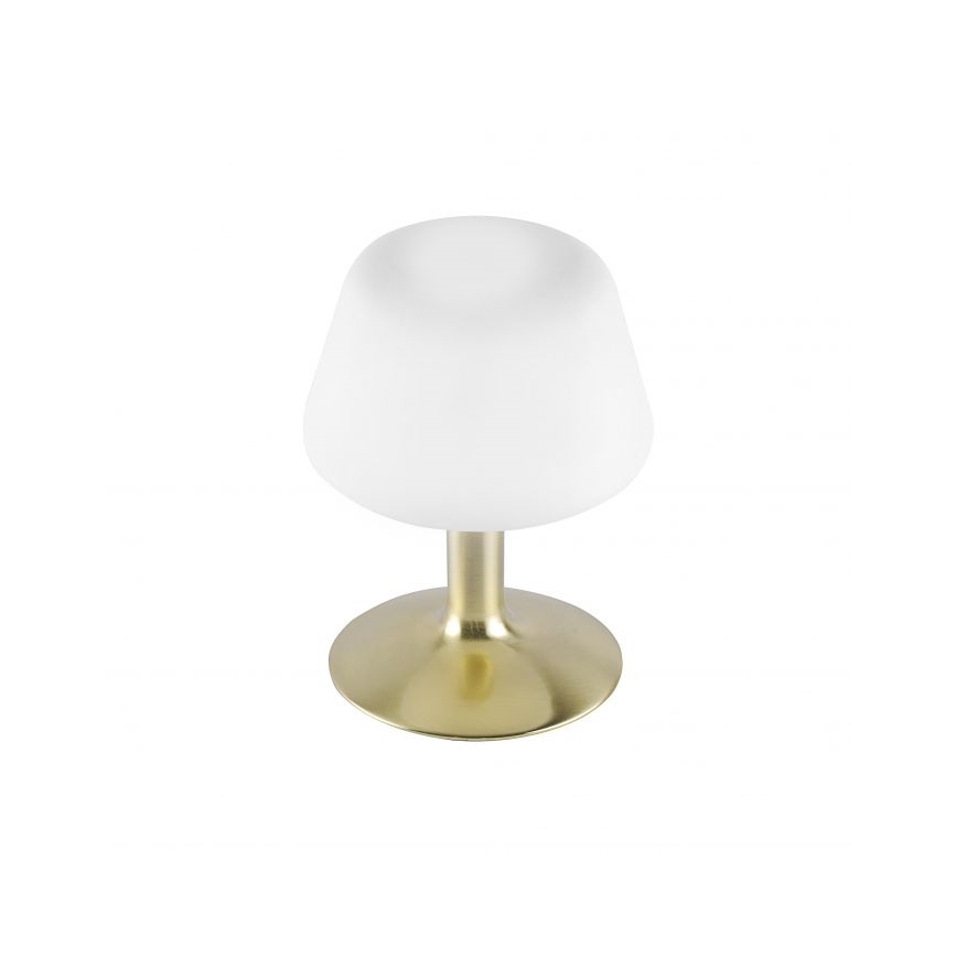 Paul Neuhaus 4078-60 - Dimbaar LED touch tafellampje TILL 1xG9/3W/230V messing