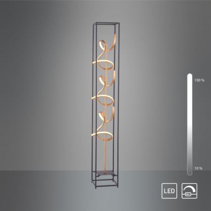 Paul Neuhaus 415-18 - LED vloerlamp dimbaar SELINA 3xLED/10.W/230V
