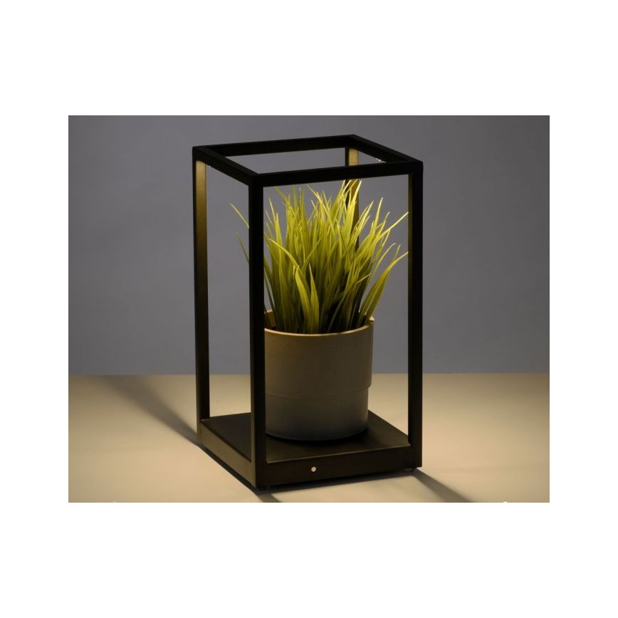 Paul Neuhaus 4401-18 - Dimbare LED Tafel Lamp CONTURA 2xLED/2,2W/230V