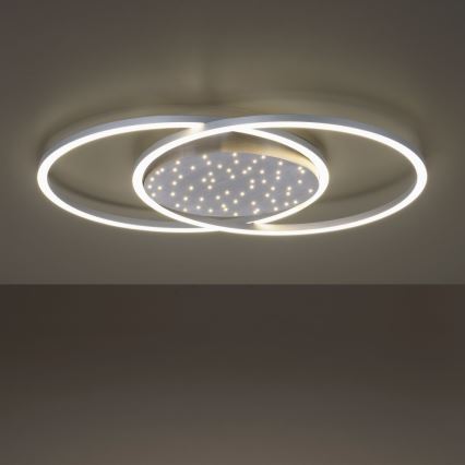 Paul Neuhaus 6025-55 - Lustre monté en surface à intensité variable YUKI LED/48W/230V + Télécommande