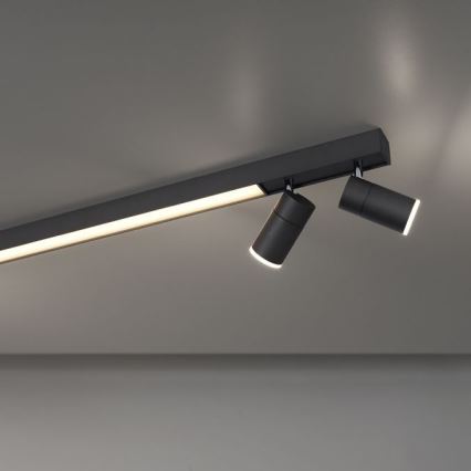 Paul Neuhaus 6121-13 - Dimbare LED Spot PURE 4xLED/4W/230V + LED/9W 2700-5000K + afstandsbediening