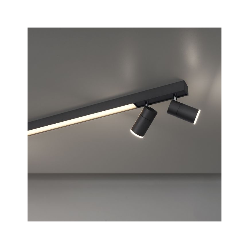 Paul Neuhaus 6121-13 - Dimbare LED Spot PURE 4xLED/4W/230V + LED/9W 2700-5000K + afstandsbediening