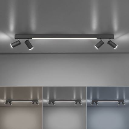 Paul Neuhaus 6121-13 - Dimbare LED Spot PURE 4xLED/4W/230V + LED/9W 2700-5000K + afstandsbediening