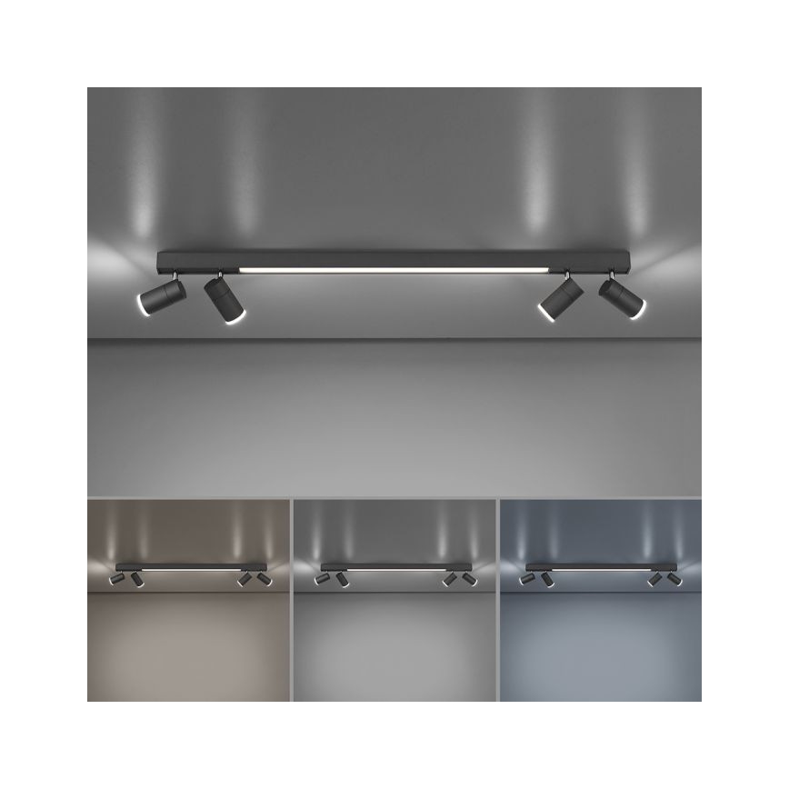 Paul Neuhaus 6121-13 - Dimbare LED Spot PURE 4xLED/4W/230V + LED/9W 2700-5000K + afstandsbediening