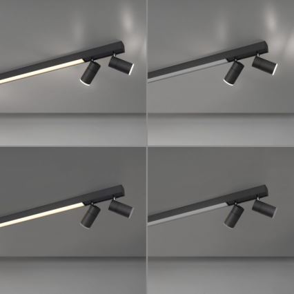 Paul Neuhaus 6121-13 - Dimbare LED Spot PURE 4xLED/4W/230V + LED/9W 2700-5000K + afstandsbediening