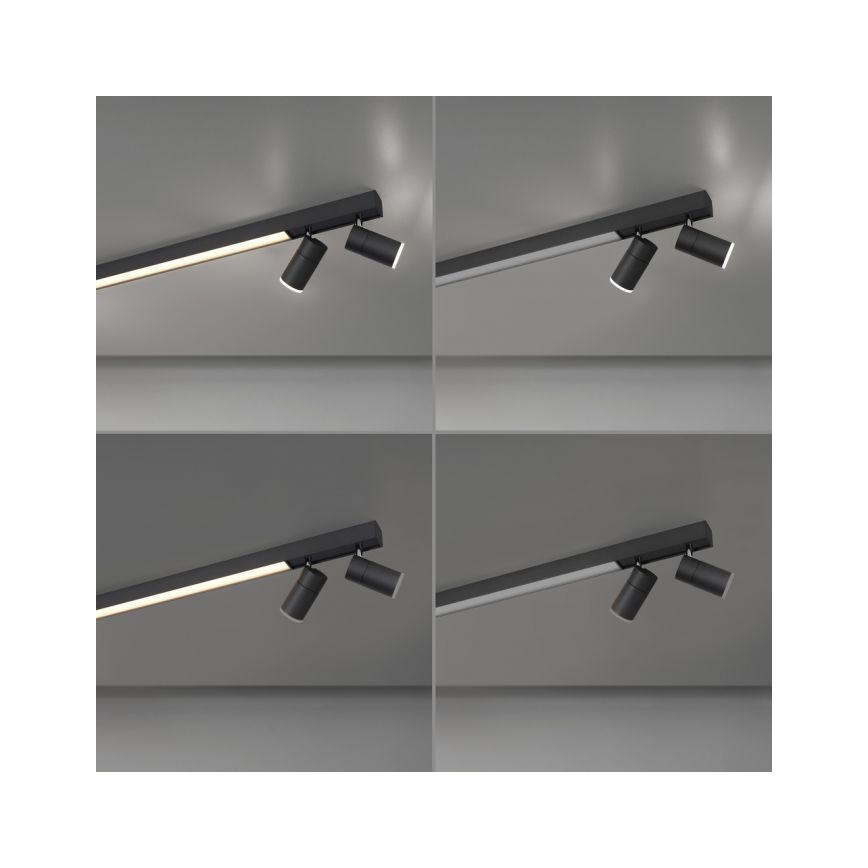 Paul Neuhaus 6121-13 - LED dimbare inbouwspot PURE 4xLED/4W/230V + LED/9W 2700-5000K + afstandsbediening