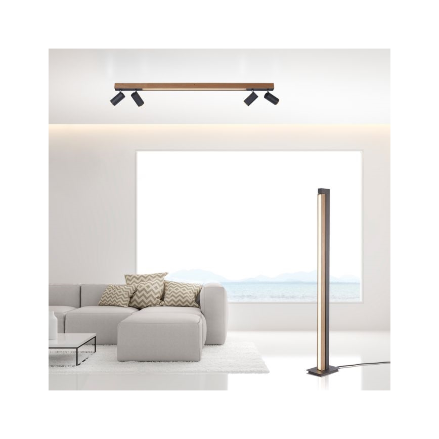 Paul Neuhaus 6121-79 - Dimbare LED Spot PURE 4xLED/4W/230V + LED/9W 2700-5000K + afstandsbediening