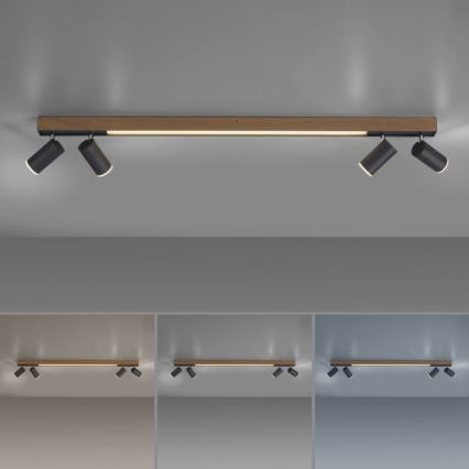 Paul Neuhaus 6121-79 - Dimbare LED Spot PURE 4xLED/4W/230V + LED/9W 2700-5000K + afstandsbediening