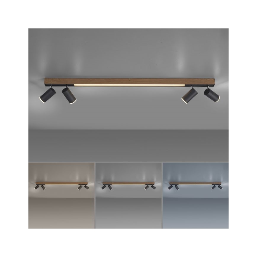 Paul Neuhaus 6121-79 - Dimbare LED Spot PURE 4xLED/4W/230V + LED/9W 2700-5000K + afstandsbediening