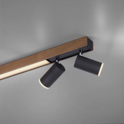 Paul Neuhaus 6121-79 - Dimbare LED Spot PURE 4xLED/4W/230V + LED/9W 2700-5000K + afstandsbediening