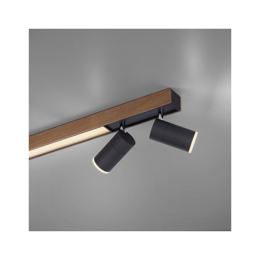 Paul Neuhaus 6121-79 - Dimbare LED Spot PURE 4xLED/4W/230V + LED/9W 2700-5000K + afstandsbediening