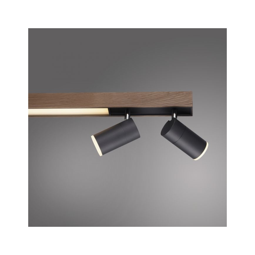 Paul Neuhaus 6121-79 - Dimbare LED Spot PURE 4xLED/4W/230V + LED/9W 2700-5000K + afstandsbediening