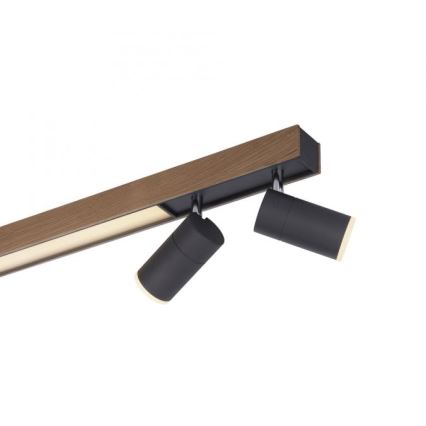 Paul Neuhaus 6121-79 - Dimbare LED Spot PURE 4xLED/4W/230V + LED/9W 2700-5000K + afstandsbediening