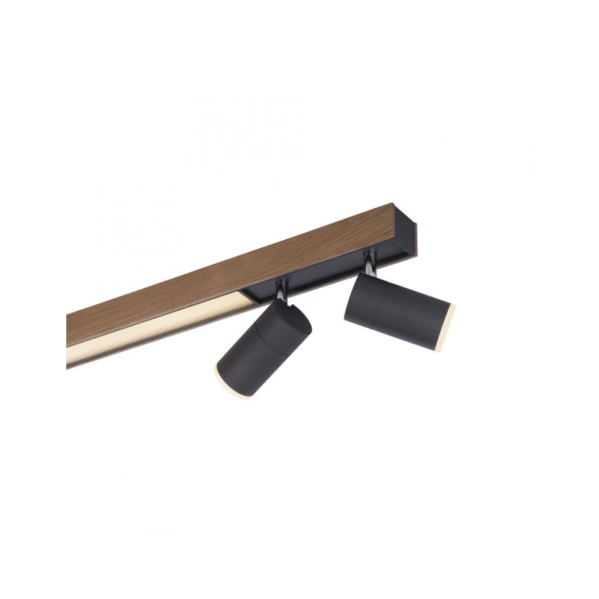 Paul Neuhaus 6121-79 - Dimbare LED Spot PURE 4xLED/4W/230V + LED/9W 2700-5000K + afstandsbediening