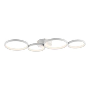 Paul Neuhaus 6183-16 - Dimbare LED plafondlamp KIRINGE LED/26W/230V