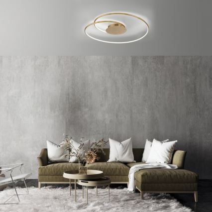Paul Neuhaus 6189-12 - Dimbare LED plafondlamp NASTRO LED/26W/230V