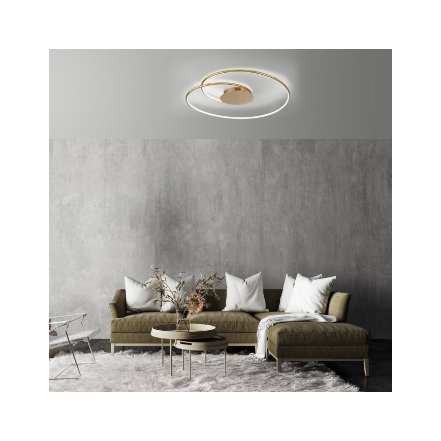 Paul Neuhaus 6189-12 - Dimbare LED plafondlamp NASTRO LED/26W/230V