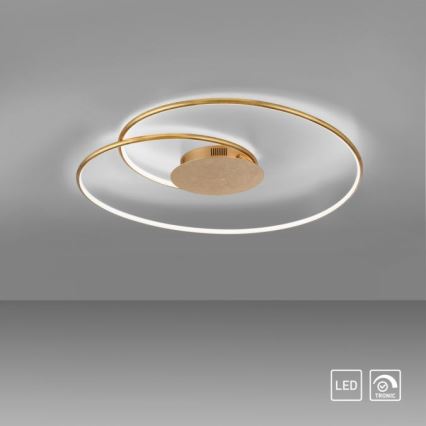 Paul Neuhaus 6189-12 - Dimbare LED plafondlamp NASTRO LED/26W/230V