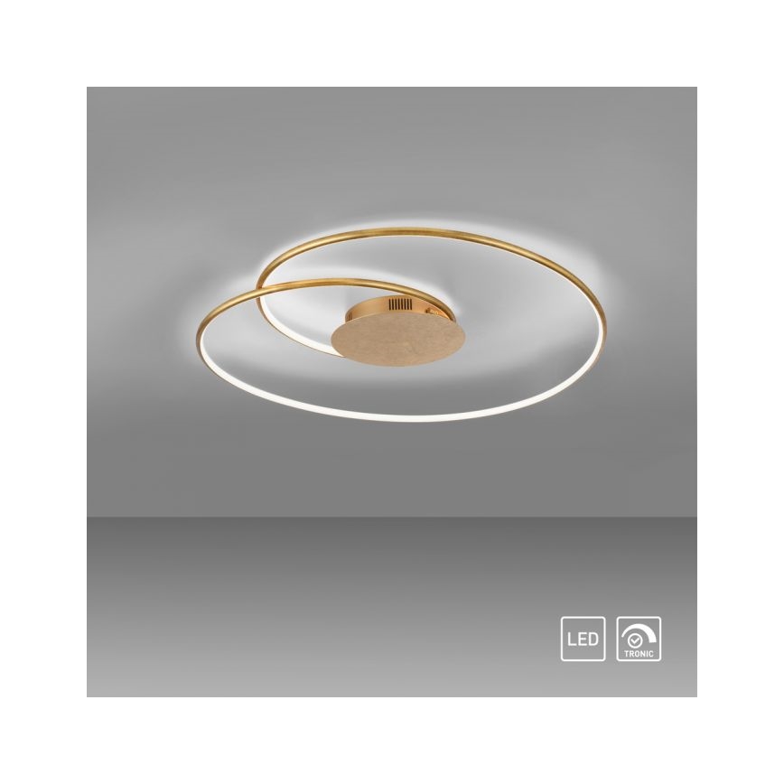 Paul Neuhaus 6189-12 - Dimbare LED plafondlamp NASTRO LED/26W/230V