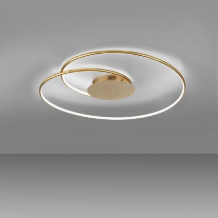 Paul Neuhaus 6189-12 - Dimbare LED plafondlamp NASTRO LED/26W/230V