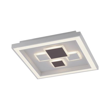 Paul Neuhaus 6283-16 - LED Dimlicht ELIZA LED/30W/230V + LED/18,5W