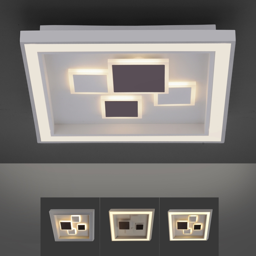 Paul Neuhaus 6283-16 - LED Dimlicht ELIZA LED/30W/230V + LED/18,5W