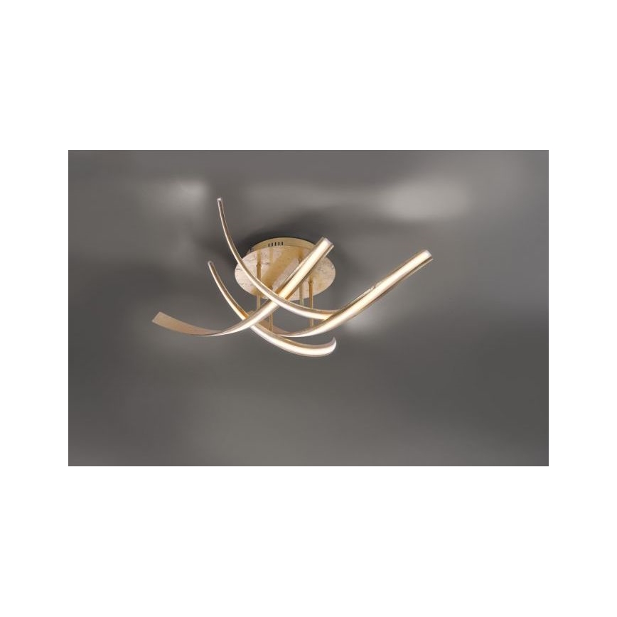 Paul Neuhaus 6474-12 - Dimbare LED bevestigde hanglamp LINDA 4xLED/7W/230V