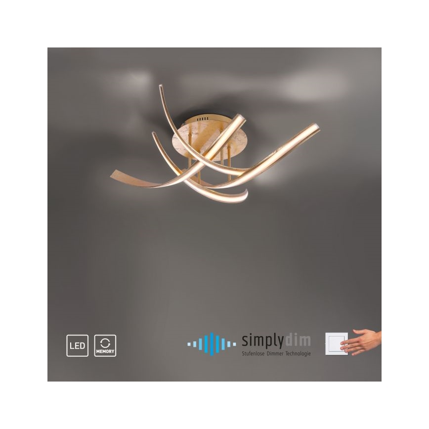 Paul Neuhaus 6474-12 - Dimbare LED bevestigde hanglamp LINDA 4xLED/7W/230V