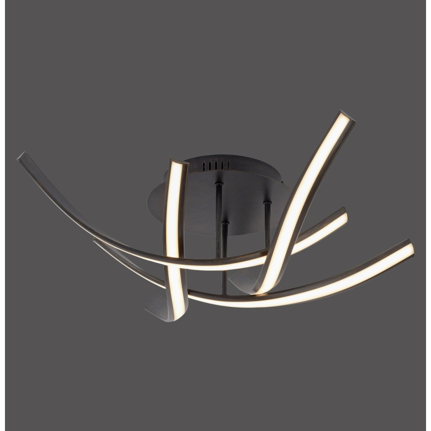 Paul Neuhaus 6474-48 - Dimbare LED bevestigde hanglamp LINDA 4xLED/7W/230V