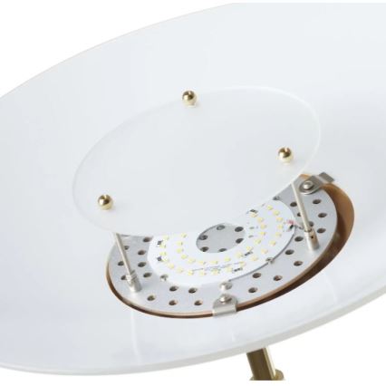 Paul Neuhaus 655-60 - LED dimbare vloerlamp ALFRED LED/28W/230V+LED/4W/230V messing