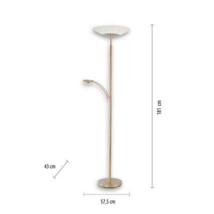 Paul Neuhaus 655-60 - LED dimbare vloerlamp ALFRED LED/28W/230V+LED/4W/230V messing