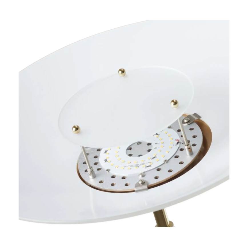 Paul Neuhaus - 655-60 - LED Dimbare vloerlamp ALFRED 1xLED/28W/230V+1xLED/4W/230V messing
