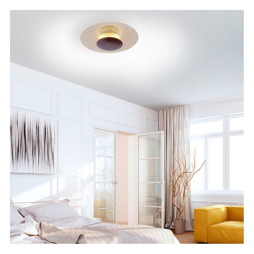 Paul Neuhaus 6551-48 - Dimbare LED Plafond Lamp NEVIS LED/18W/230V