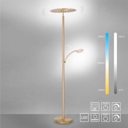 Paul Neuhaus 673-60 - LED dimbare vloerlamp ARTUR 2xLED/21W/230V+LED/6W goud