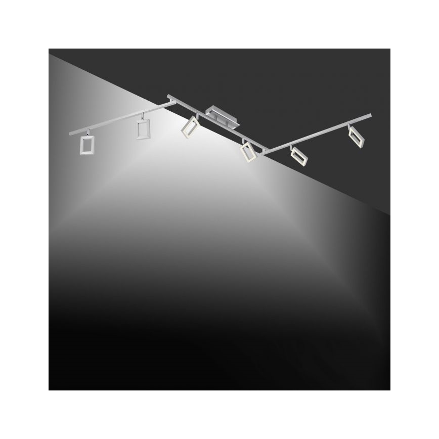 Paul Neuhaus 6965-55 - Dimbare LED Plafondspot INIGO 6xLED/4W/230V