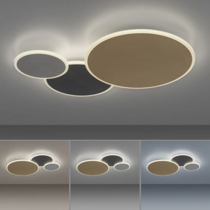 Paul Neuhaus 8007-70 - Dimbare LED plafondlamp Q-PIATO LED/35W/230V 2700-5000K Wi-Fi + afstandsbediening
