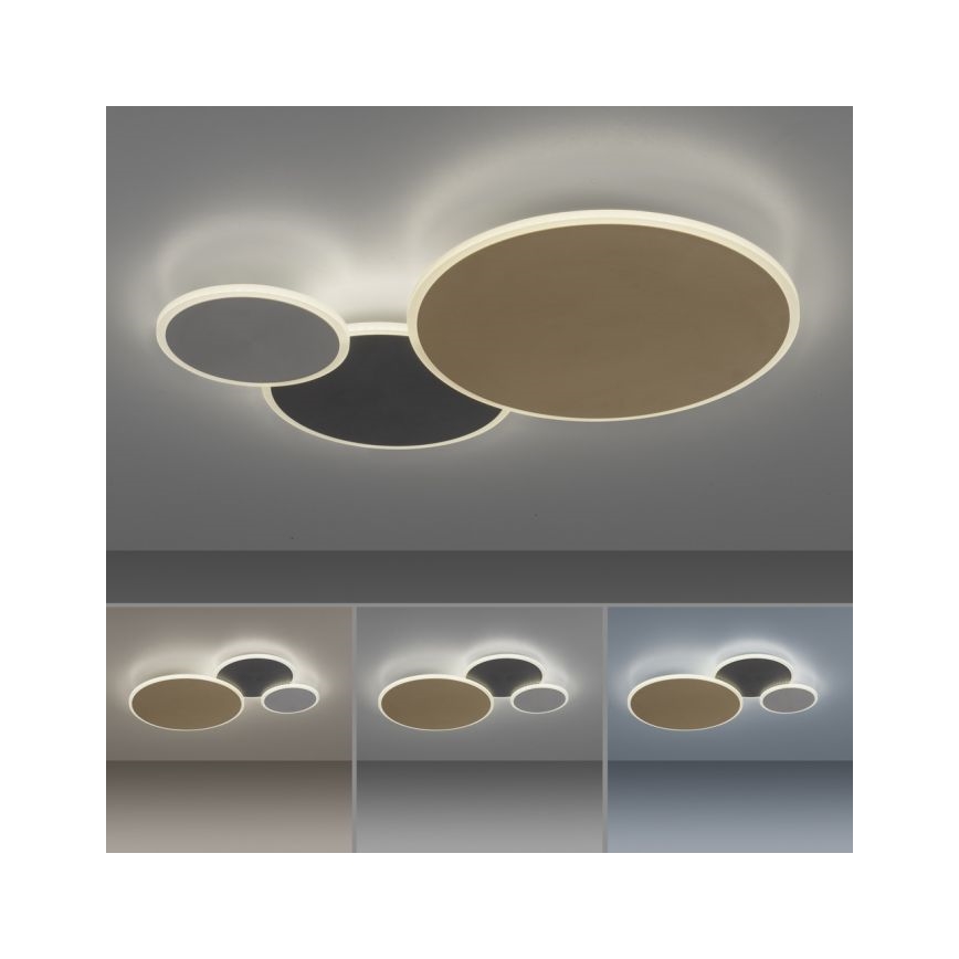 Paul Neuhaus 8007-70 - Dimbare LED plafondlamp Q-PIATO LED/35W/230V 2700-5000K Wi-Fi + afstandsbediening