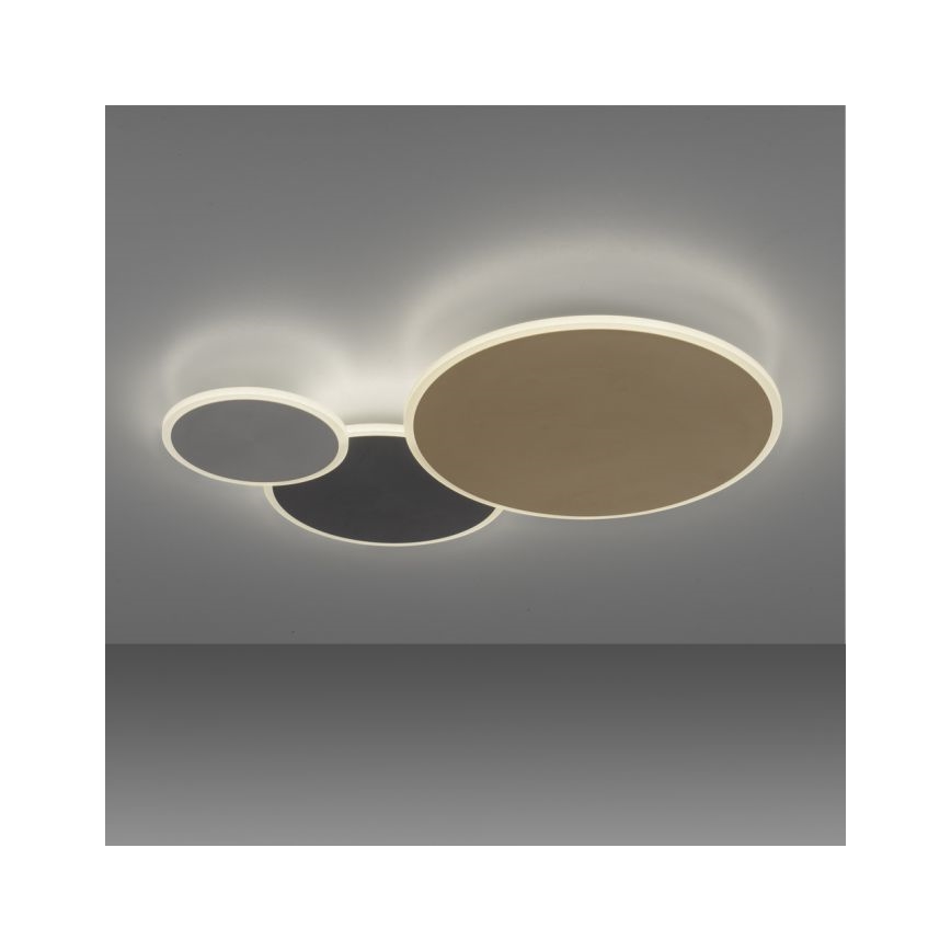 Paul Neuhaus 8007-70 - Dimbare LED plafondlamp Q-PIATO LED/35W/230V 2700-5000K Wi-Fi + afstandsbediening