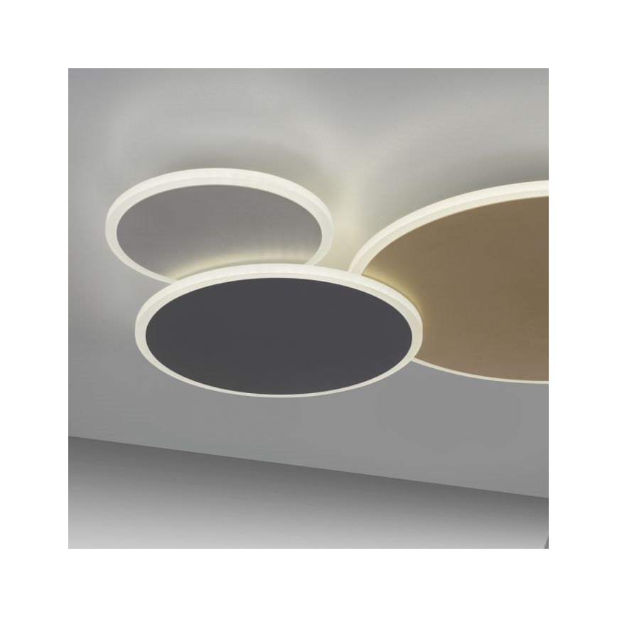 Paul Neuhaus 8007-70 - Dimbare LED plafondlamp Q-PIATO LED/35W/230V 2700-5000K Wi-Fi + afstandsbediening